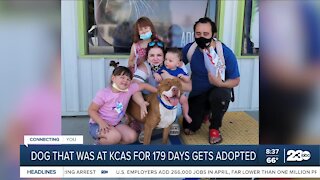 Pet of the Week Conner gets adopted