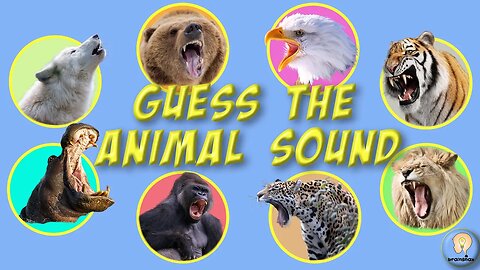 Guess the Animal Sound | Animal Sounds for kids