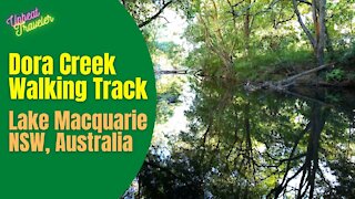 Dora Creek Walking Track, Lake Macquarie
