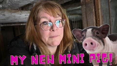 All About Our New Mini Pig!