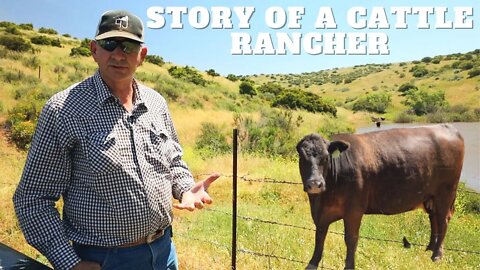 A Cowboy's Cattle Ranching Journey
