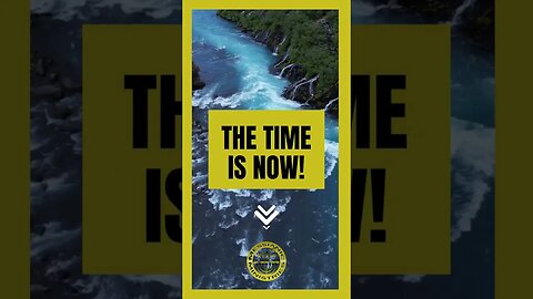 The Time is Now! | The Seal