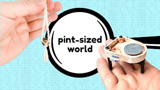 Welcome to pint-sized world!
