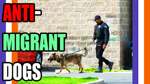 Home Depot Deploys Dogs Against Migrants