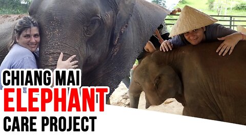 BMP ELEPHANT CARE PROJECT - CHIANG MAI - Tailândia