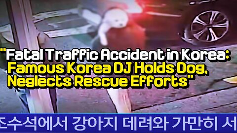 "Fatal Traffic Accident in Korea:Famous Korea DJ Holds Dog, Neglects Rescue Efforts"