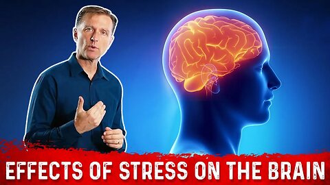 Effects Of Stress On The Brain – Dr. Berg