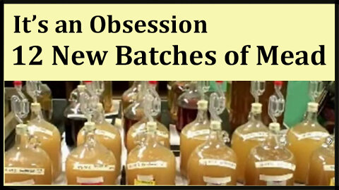 twelve new batches of mead but....one thing is the same