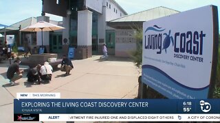 Exploring the Living Coast Discovery Center