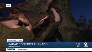 Tree falls on to house in Sardinia