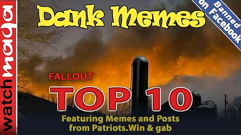 Fallout: TOP 10 MEMES