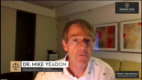 Dr Mike Yeadon Giving Evidence To Grand Jury - Day 4 - Feb 19th 2022