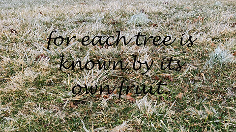For Each Tree is Known by Its Fruit. Luke 6: 43- 45