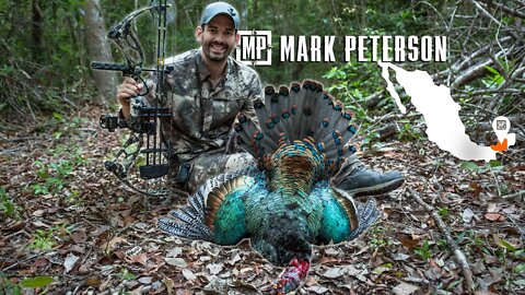 Bow Hunting Jungle Ocellated Turkeys & Mayan Ruins | Mark Peterson Hunting