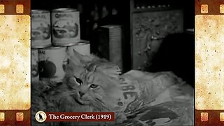 The Grocery Clerk (1919) 🐱 Cat Movies 🎥🐈