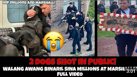 MILLIONS AND MARSHALL DOGS DEATH FULL VIDEO MILLIONS AND MARSHALL PETITION