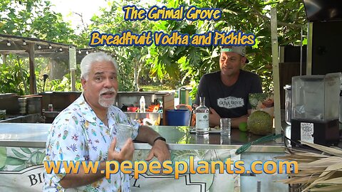 Exploring the Grimal Grove - Breadfruit, Pickles and Vodka