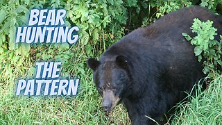 Black Bear Hunting | The Pattern
