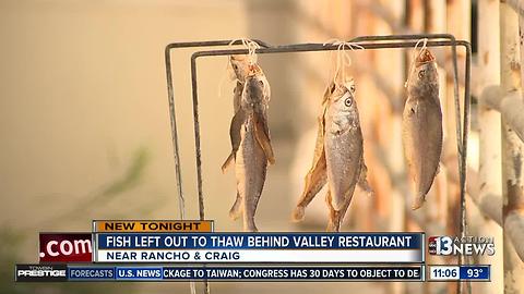 Fish left to thaw outside Las Vegas restaurant