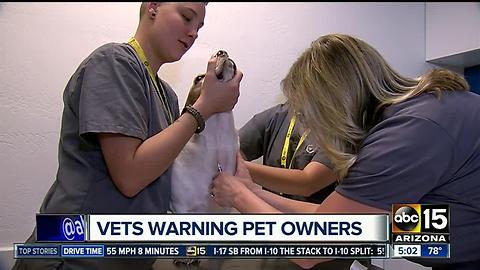 Veterinarians warning pet owners about dangers of leptospirosis