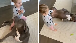 Baby girl adores her pit bull best friend