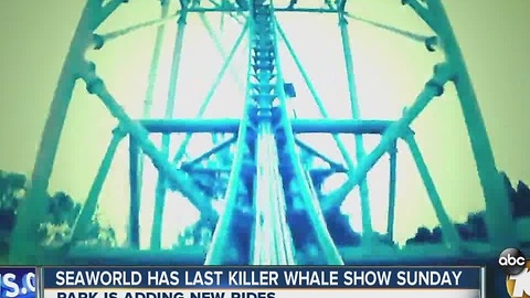 Seaworld has last killer whale show Sunday