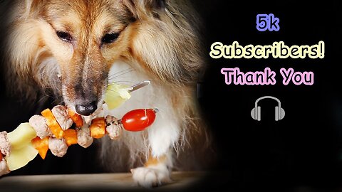 ASMR Dog Eating Sounds Meat Kebab 🍅 🍍 No Talking Mukbang" dog videos dogs and food'