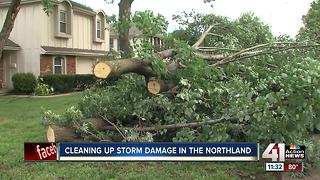 Storm damage in Park Plaza neighborhood following straight line winds and storms