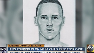 Police looking for Mesa child predator