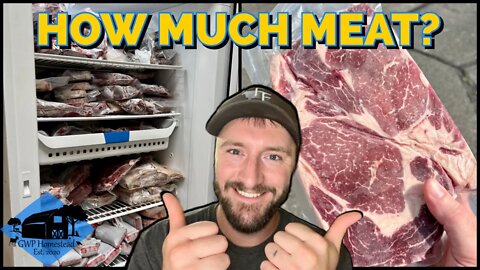 How Much Meat is a Half Beef? Explained in 3 Minutes!