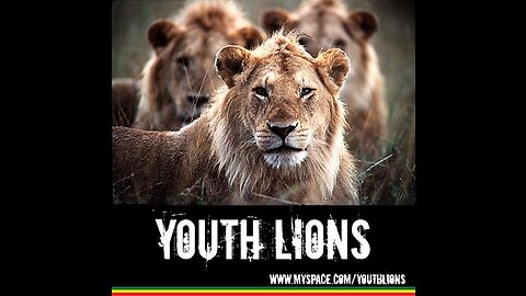 Youth lions - Demonstração