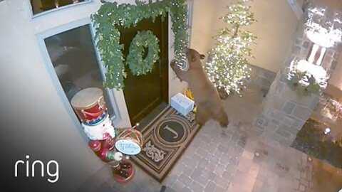 Curious Package Thief Get's Seen Taking Wife's Birthday Present Via Ring Spotlight Cam | RingTV