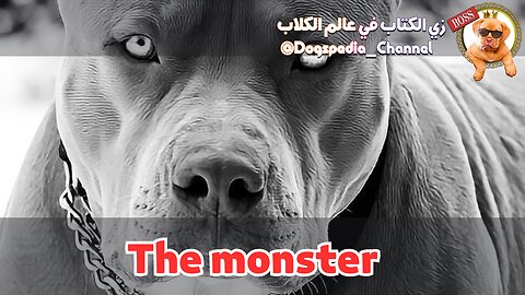 The monester