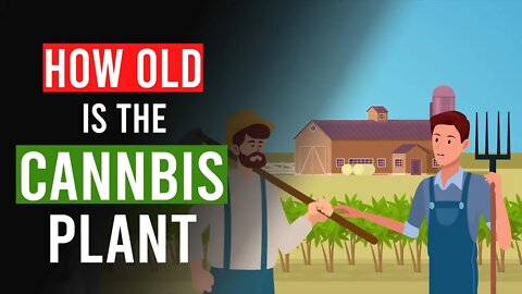 How Old is the Cannabis Plant?