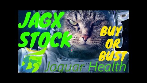 Jaguar Health: JAGX Stock Is It A Buy Or Bust? Stock Market Today