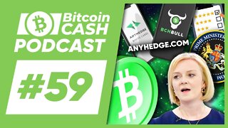 The Bitcoin Cash Podcast #59： Listener Survey 2022 & Political change