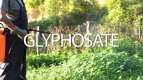 How harmful is Glyphosate/Round up to People and Animals | The Solution