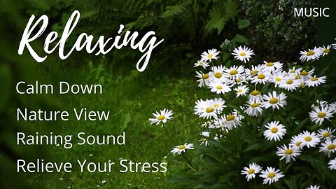 Relaxing Music With Raining Sound - Nature View Relieve Your Stress / Calm Down