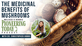 EP: 422 The Medicinal Benefits of Mushrooms with Dr. Christopher Hobbs