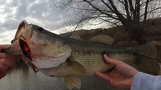 Bass Fishing | Catch Of The Day 04/08/2023