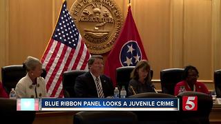 Blue Ribbon Panel Looks At State's Juvenile Justice System, Juvenile Crime