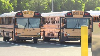 School bus transportation latest