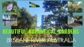 BEAUTIFUL BOTANTICAL GARDENS - BRISBANE RIVER - QUEENSLAND AUSTRALIA #brisbaneriver #downunder #qld