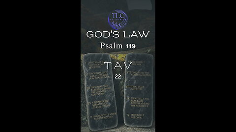 GOD'S LAW - Psalm 119 - 22 - A prayer for understanding #shorts