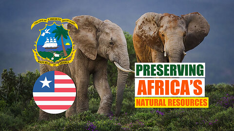 Department Of Science & Agriculture Helping Nimba County Preserve Liberia’s Natural Resources