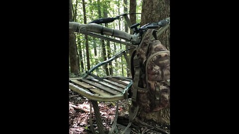 1-Shot Deer Hunting 2022: Deer Season Prep. Treestand Setup, Noise, And Smoke Test!