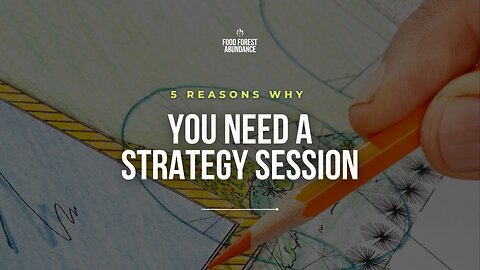 Here are 5 reasons why you need to book a strategy session today!