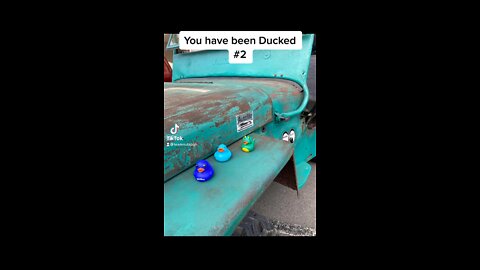 You have been Ducked #2