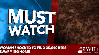 Woman shocked to find 35,000 bees swarming home