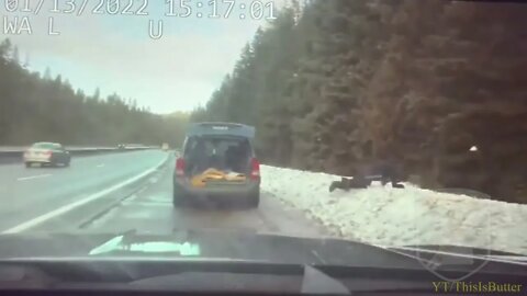 An Idaho state trooper dove to catch a rescued cat and stop it from running into a roadside forest